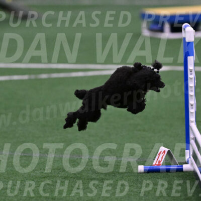 Winston-Madison-Canton-05700