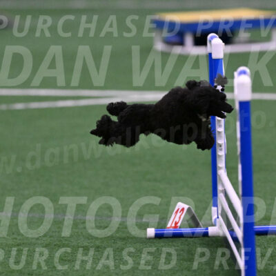 Winston-Madison-Canton-05701