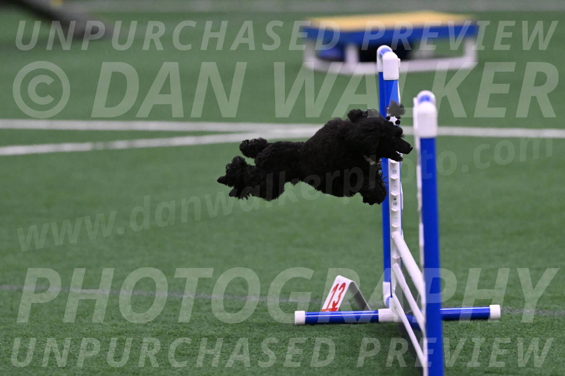 Winston-Madison-Canton-05701
