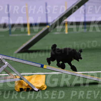 Winston-Madison-Canton-05704