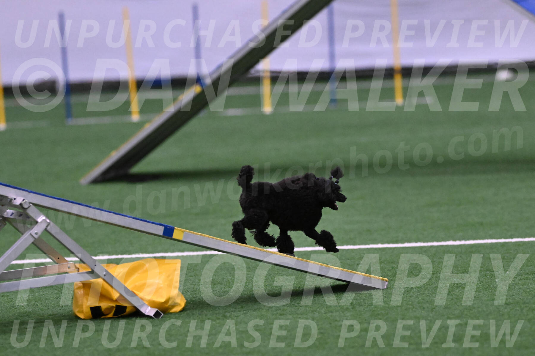 Winston-Madison-Canton-05706