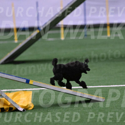 Winston-Madison-Canton-05706