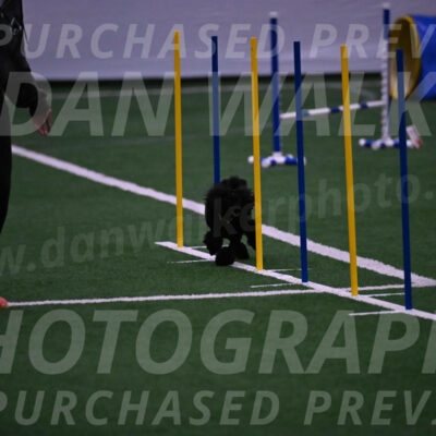 Winston-Madison-Canton-05728