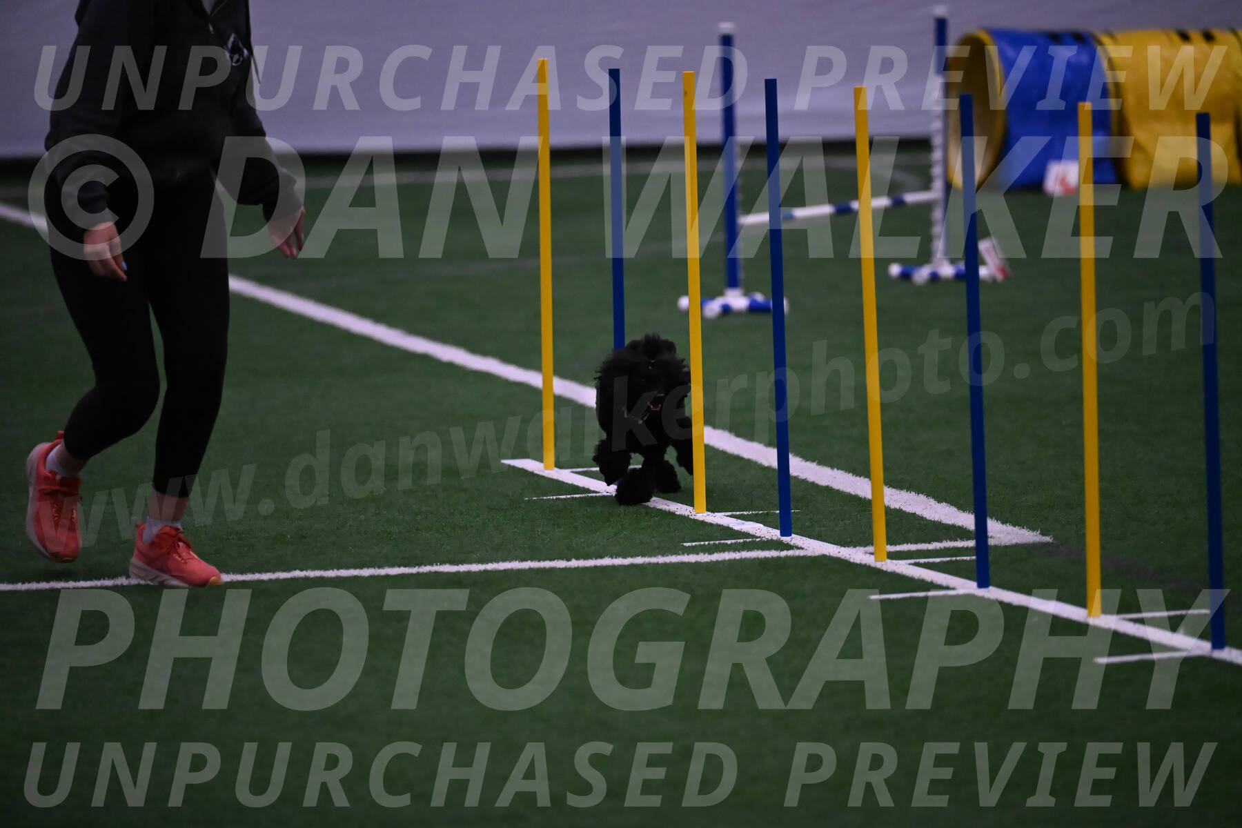 Winston-Madison-Canton-05728