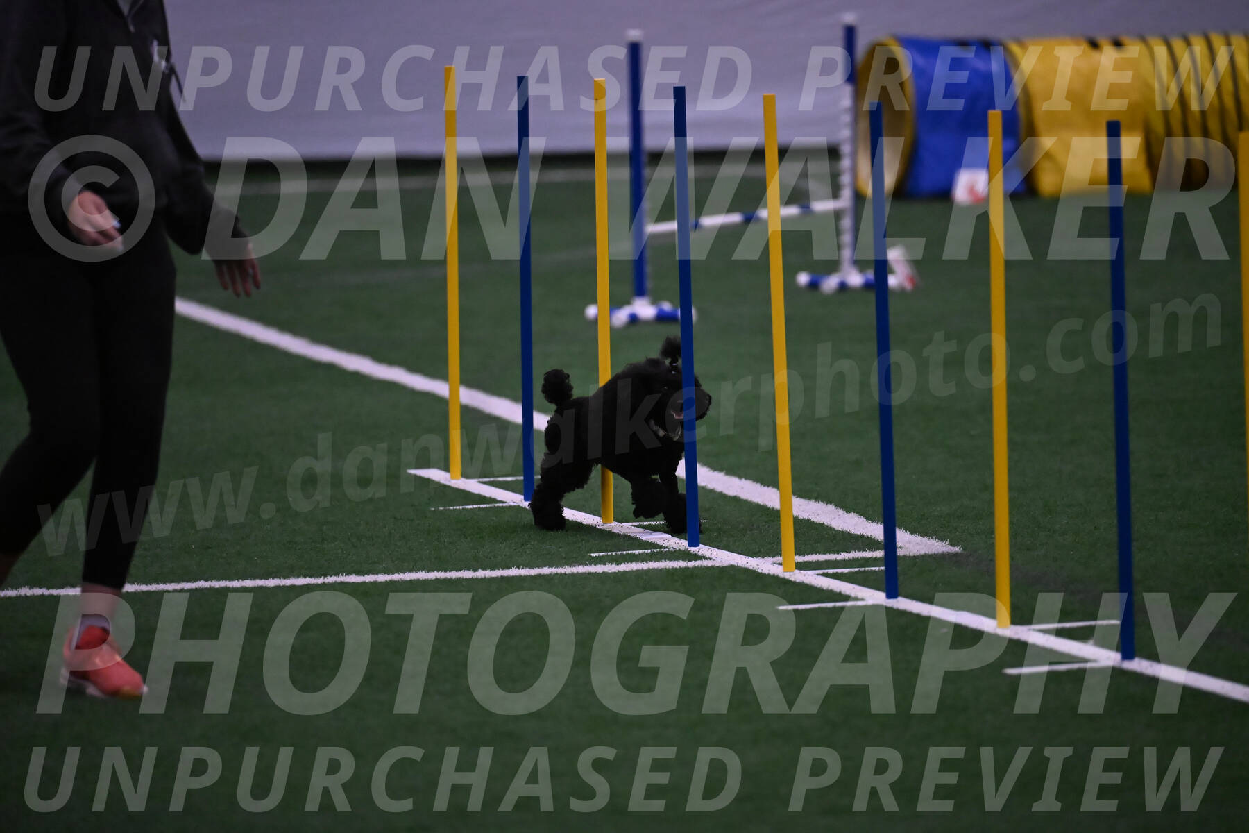 Winston-Madison-Canton-05732