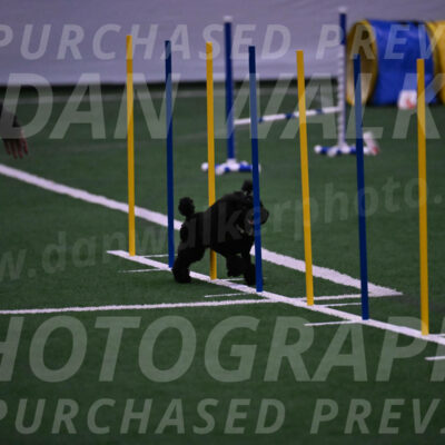 Winston-Madison-Canton-05732