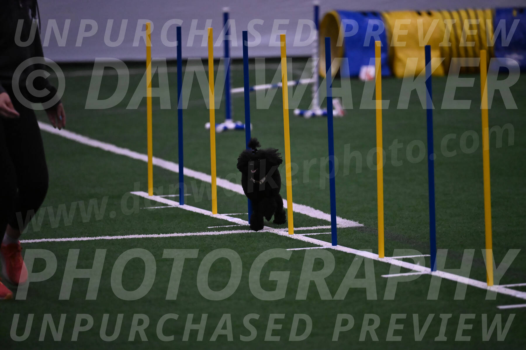 Winston-Madison-Canton-05734