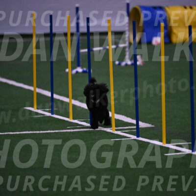 Winston-Madison-Canton-05734