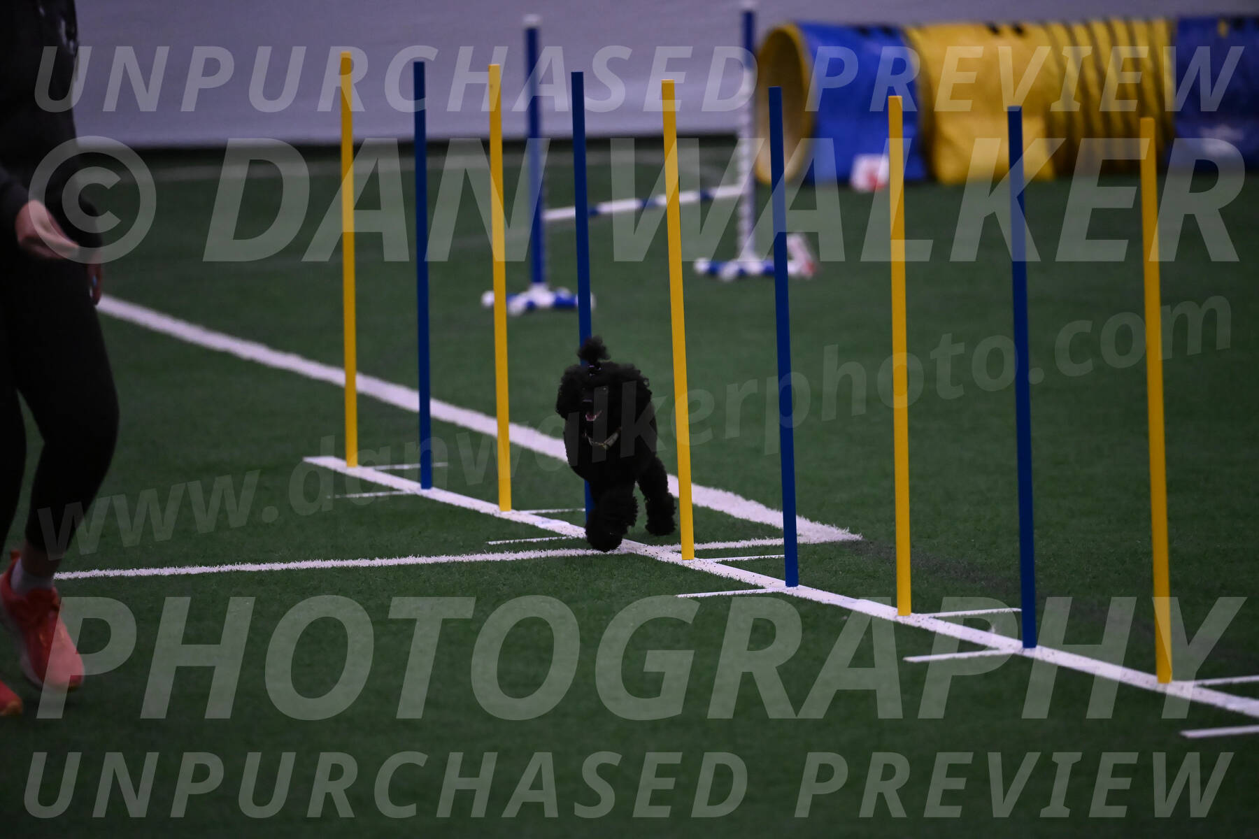 Winston-Madison-Canton-05735
