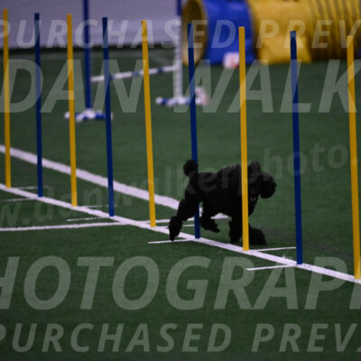 Winston-Madison-Canton-05740