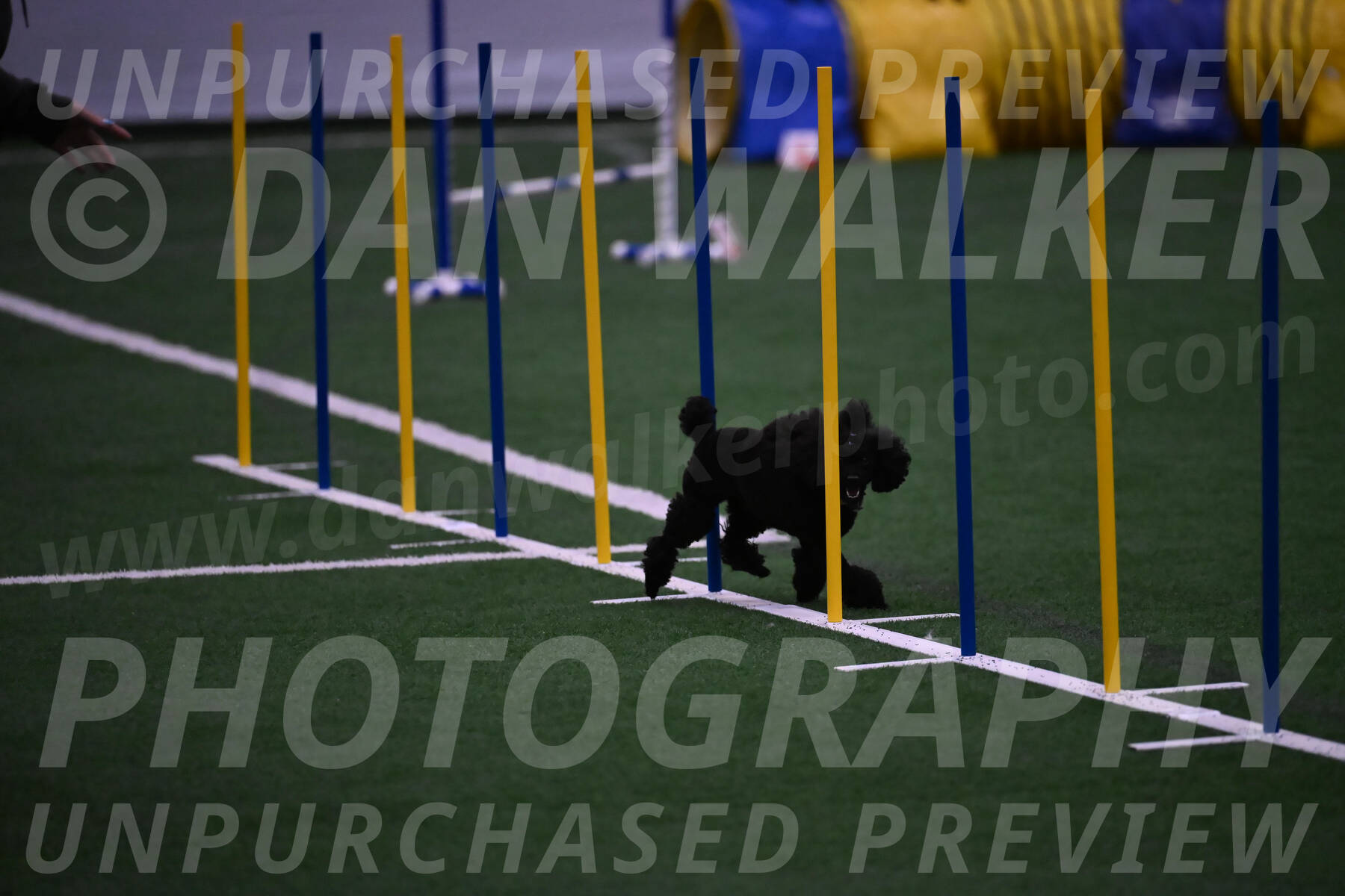 Winston-Madison-Canton-05740