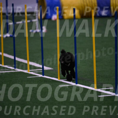 Winston-Madison-Canton-05743