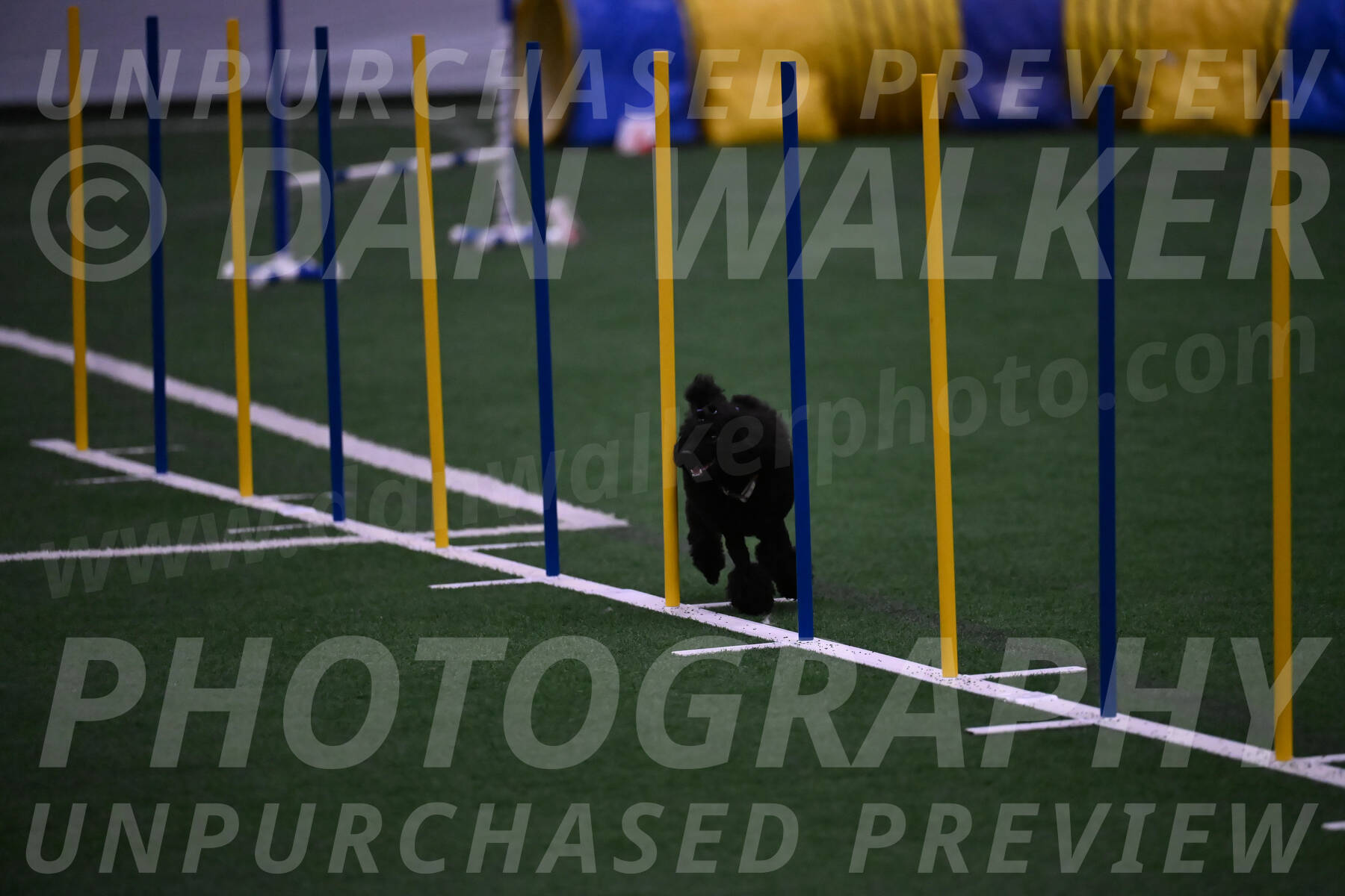 Winston-Madison-Canton-05743