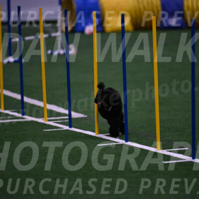 Winston-Madison-Canton-05744