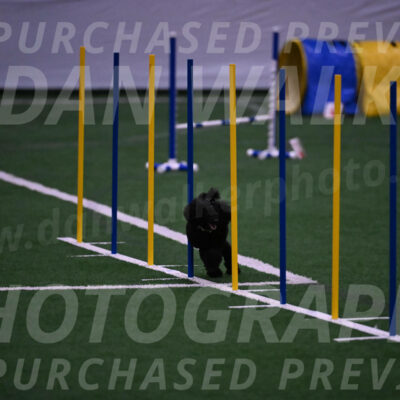Winston-Madison-Canton-05746