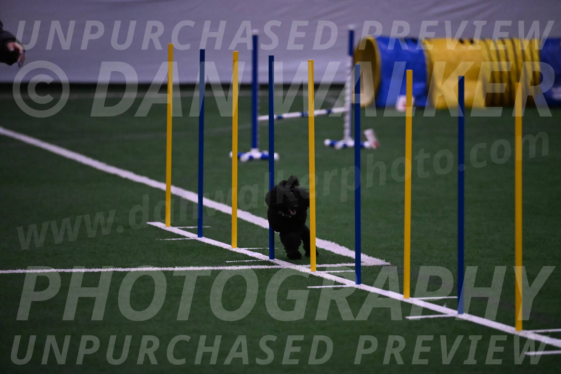 Winston-Madison-Canton-05746