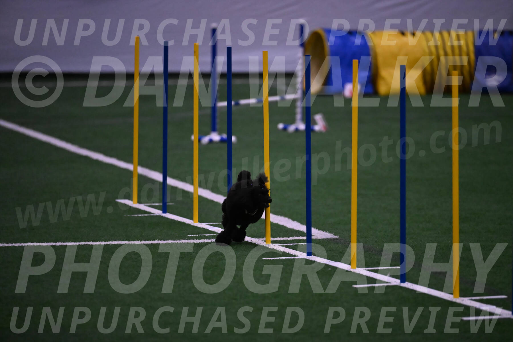 Winston-Madison-Canton-05748