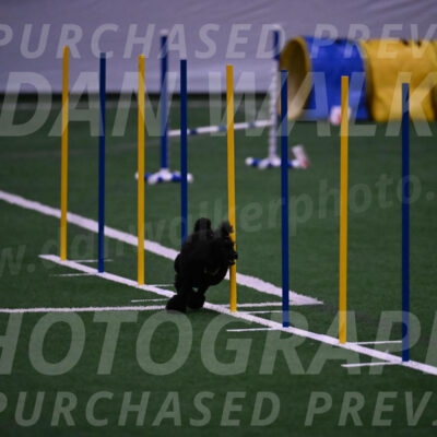 Winston-Madison-Canton-05748