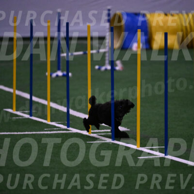 Winston-Madison-Canton-05750