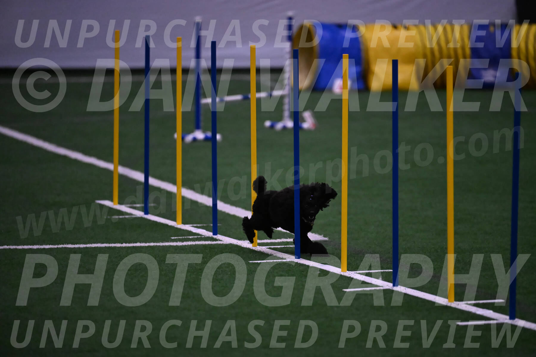 Winston-Madison-Canton-05750