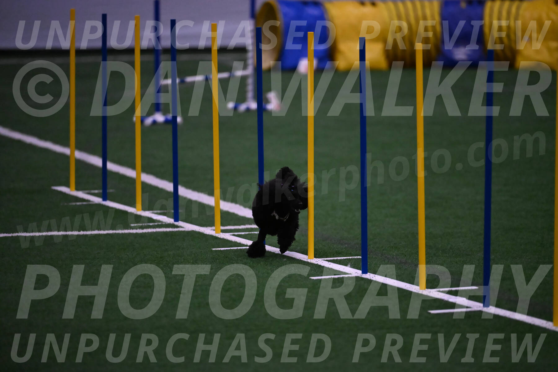 Winston-Madison-Canton-05751