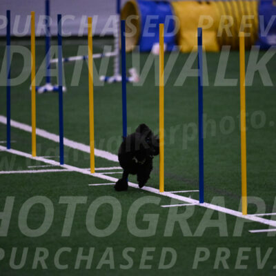 Winston-Madison-Canton-05751
