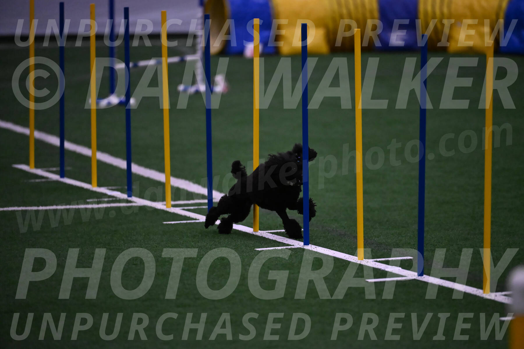Winston-Madison-Canton-05753