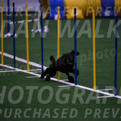 Winston-Madison-Canton-05753