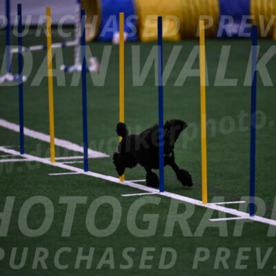 Winston-Madison-Canton-05754