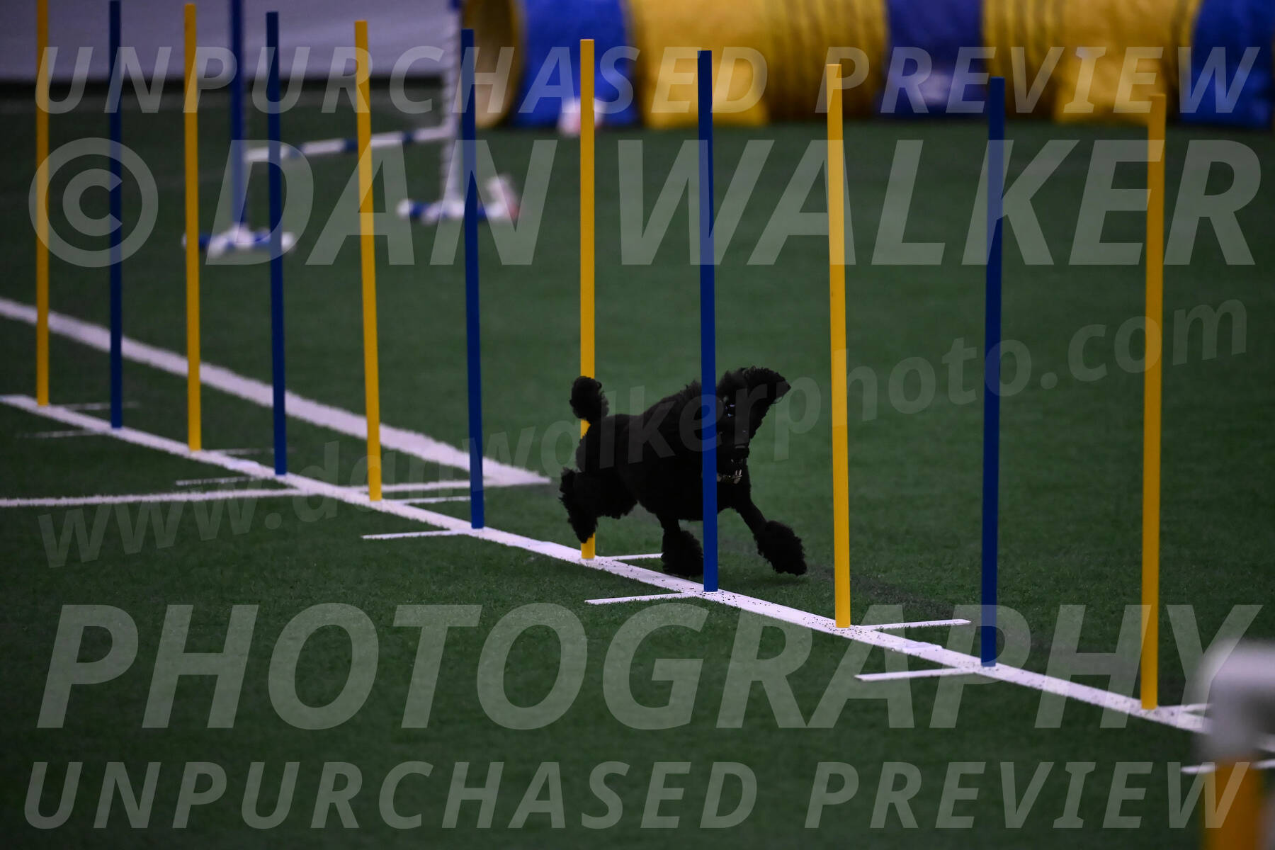 Winston-Madison-Canton-05754