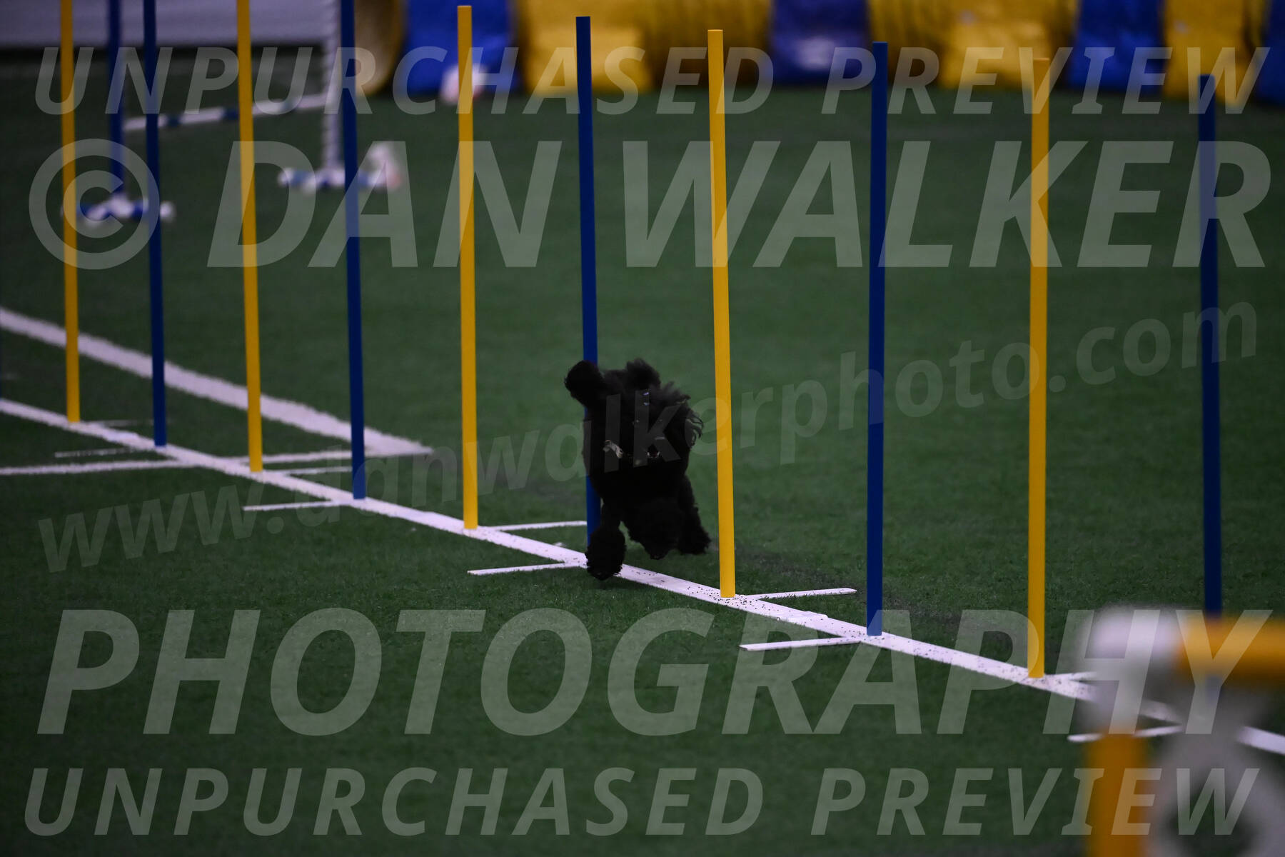 Winston-Madison-Canton-05756