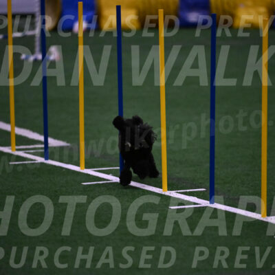 Winston-Madison-Canton-05756