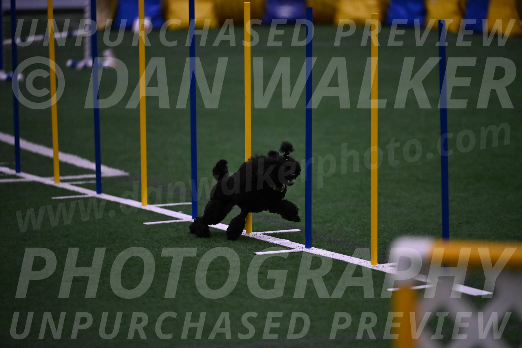 Winston-Madison-Canton-05760