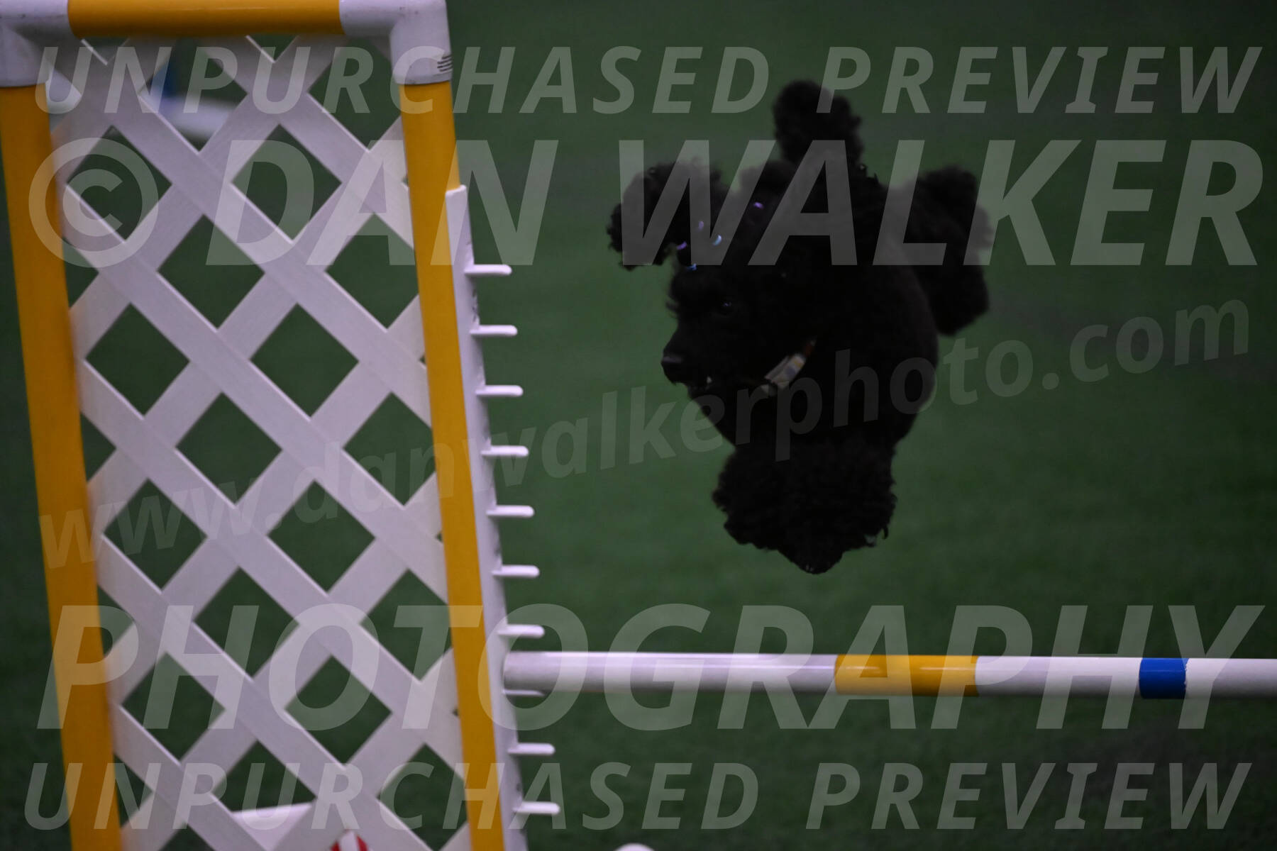 Winston-Madison-Canton-05773