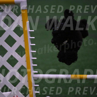 Winston-Madison-Canton-05773
