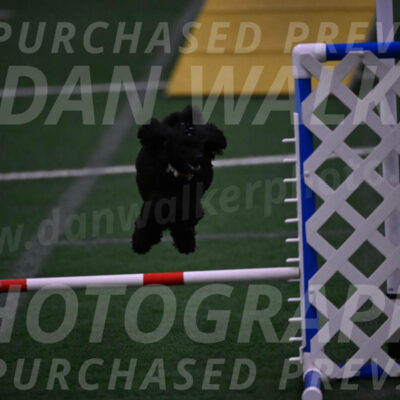 Winston-Madison-Canton-05779