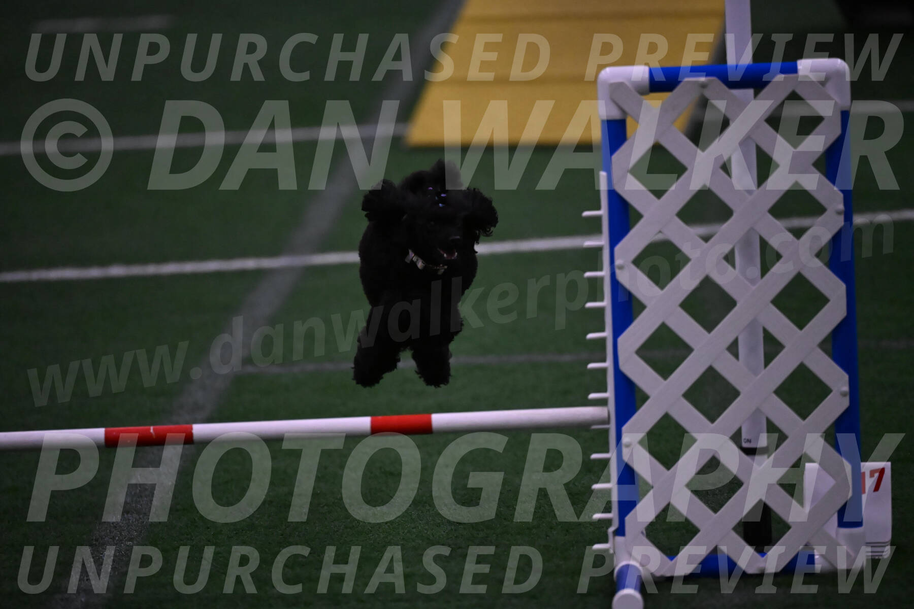 Winston-Madison-Canton-05779