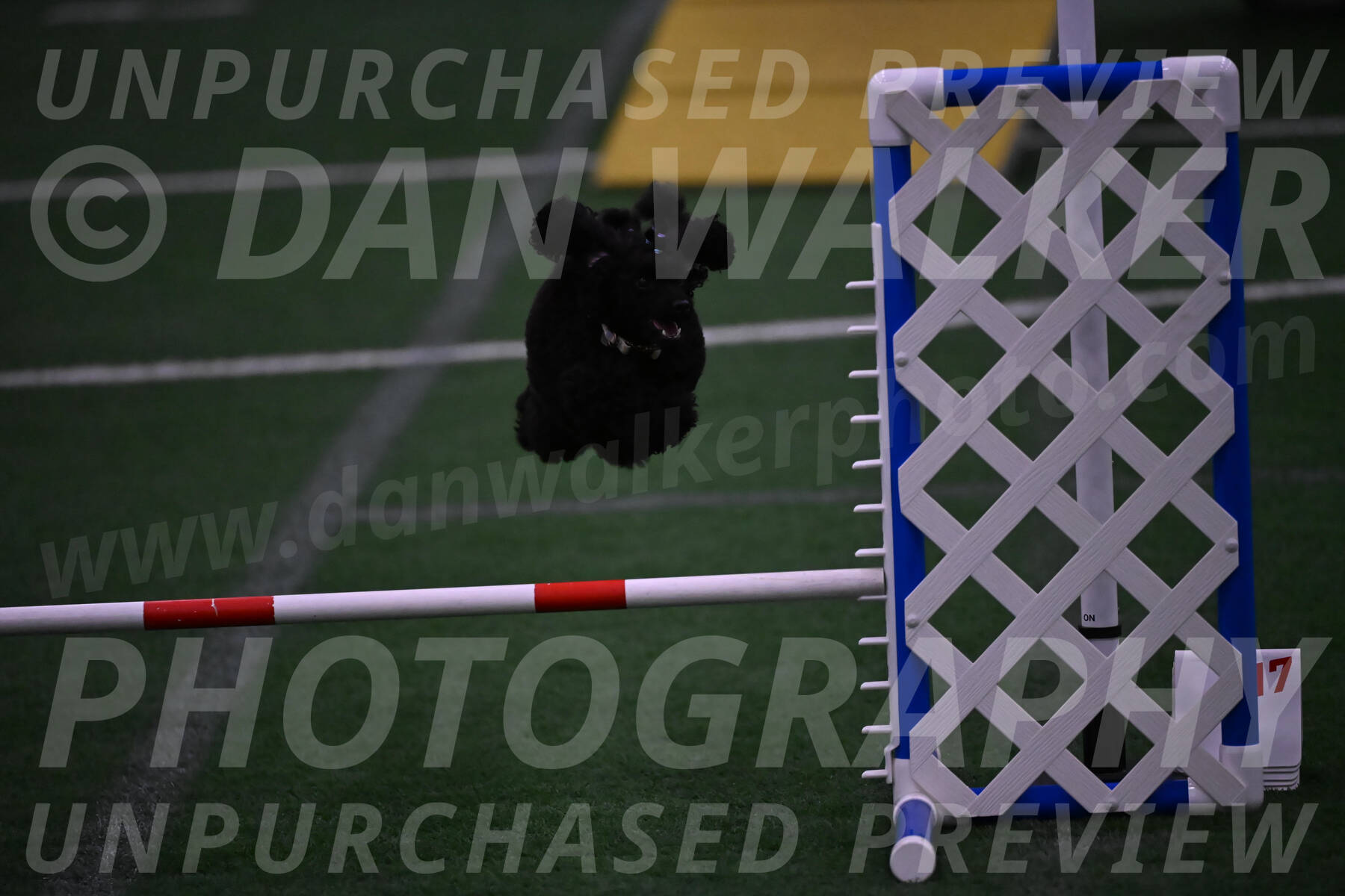 Winston-Madison-Canton-05780