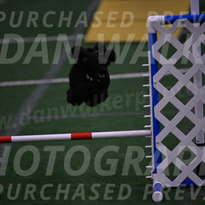 Winston-Madison-Canton-05780