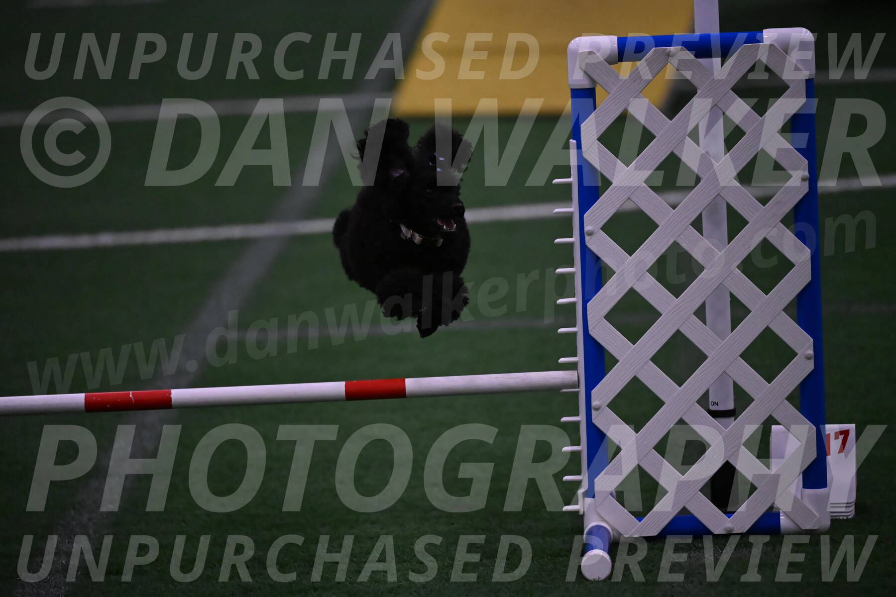 Winston-Madison-Canton-05781