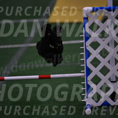 Winston-Madison-Canton-05781