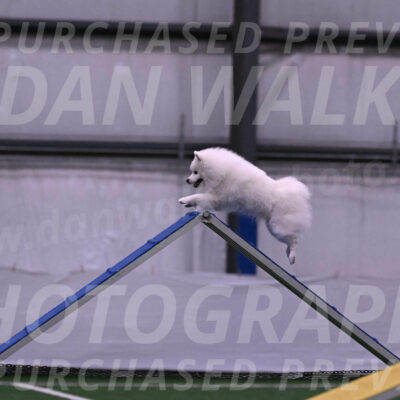 Yeti-Glenn-Rawsky-01346