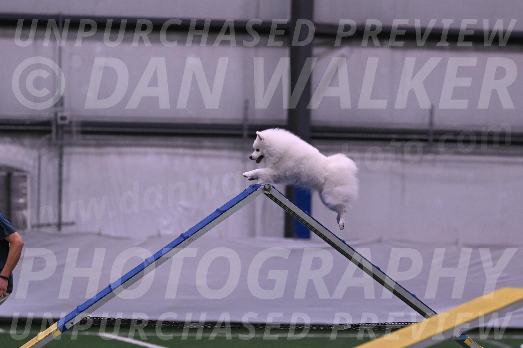 Yeti-Glenn-Rawsky-01346
