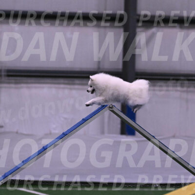 Yeti-Glenn-Rawsky-01347