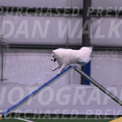 Yeti-Glenn-Rawsky-01348