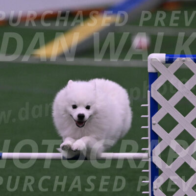 Yeti-Glenn-Rawsky-01351