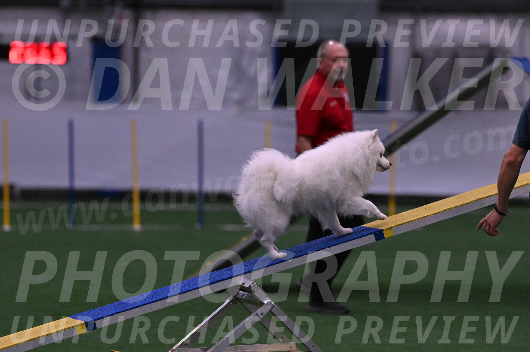 Yeti-Glenn-Rawsky-01354
