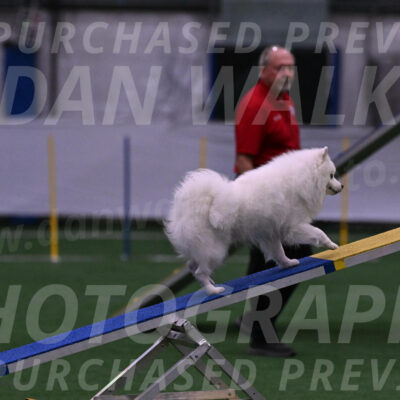 Yeti-Glenn-Rawsky-01354