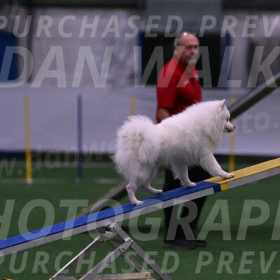 Yeti-Glenn-Rawsky-01355