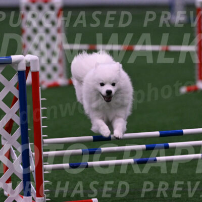 Yeti-Glenn-Rawsky-01366